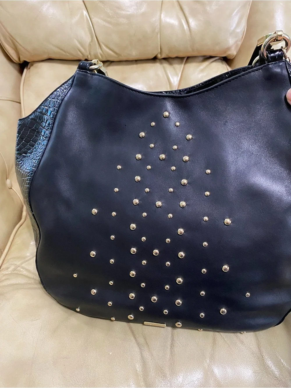 Brahmin authentic retired